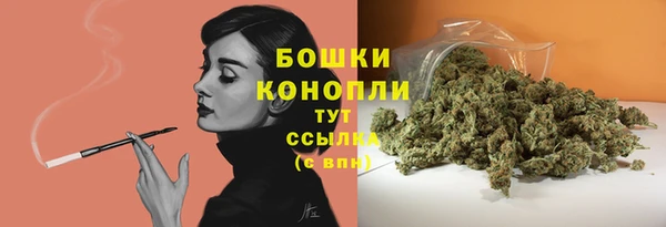 mdpv Богородск