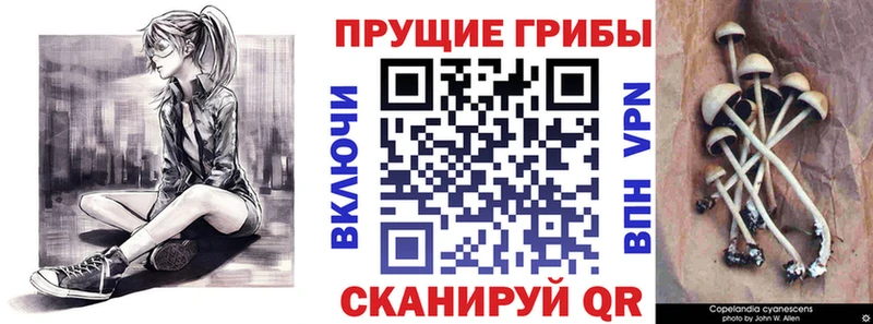 Псилоцибиновые грибы GOLDEN TEACHER  Купить  Бобров 
